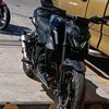 laceiba0101504