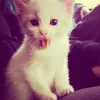 _aliiine24