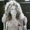 robertplants.s_lut
