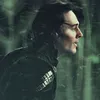 dxrkness.v