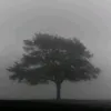 hv_r8