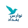 نوارس بغداد