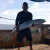 Pedro