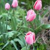 notmargot38