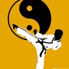 anak_.taekwondo66