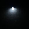 kuwait_489
