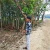 user3713636947057