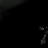 alan__0111