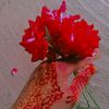 mahdiya.1207