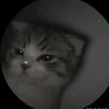 roby.ramadhan23