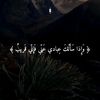 user8684752346631