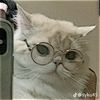 urlove_din051
