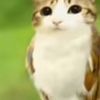 marckus.alexander