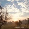 arsam_king5