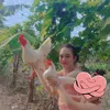 thanhgalai2