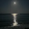 xworldxx7