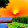 333gujjar016