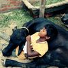rajmukhiya036
