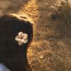 theara_leap