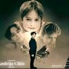 andrija.cikic769