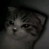 itz_kenzaki