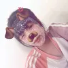 dmie_linn