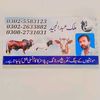 user4944617015340