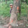 amritsah22222