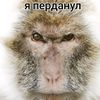 megaxpyak