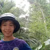 lng.lng374