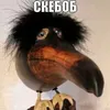 bolvan_joker1488