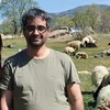 bayar_doske0