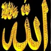 user74375815332217