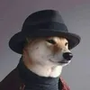 lobo.marrom.zinho