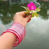 mone.chowdhury487