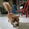 mo.bo.cute24