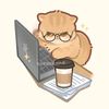 myat.noe57383