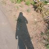 cegil_manis07