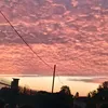 martina_2505126
