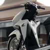 kevin.putra848