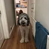 puppyslay7