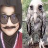 lipi.liip