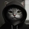 tomtom.ai