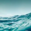 mindstill56