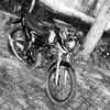 rayhan.alfds