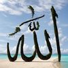 irfan.pthan05