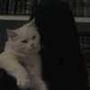 asya.hroub1