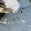 skibidi1234456789