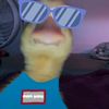 sponge689