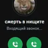 yaytsop